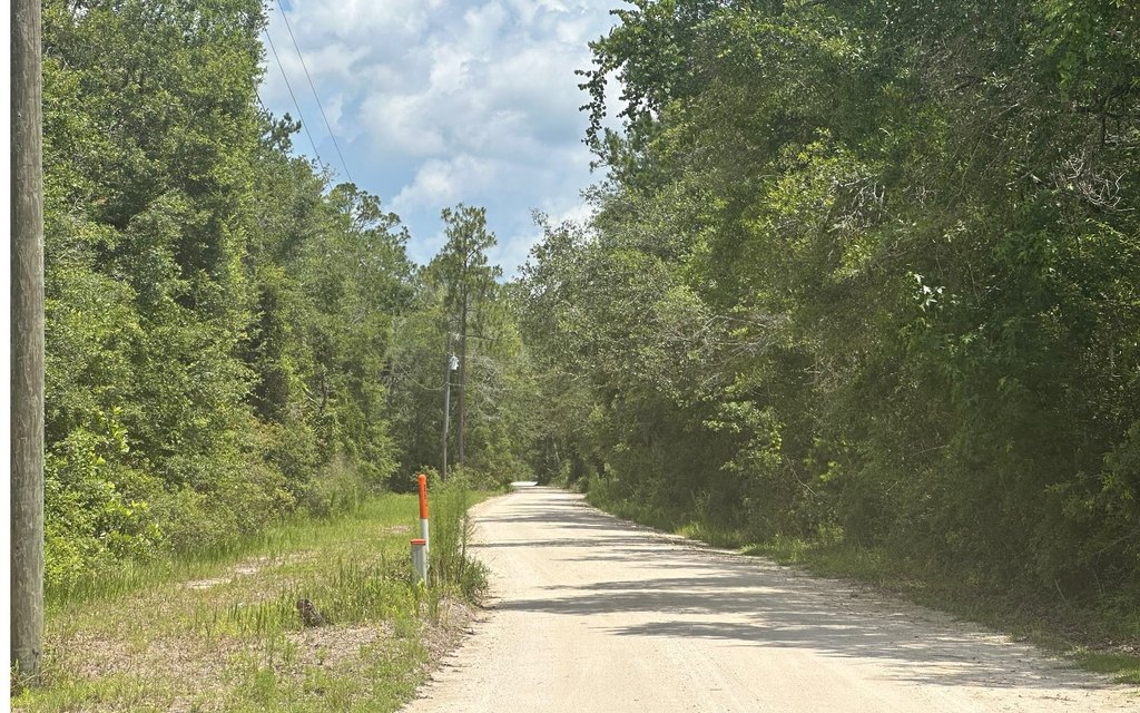 Picture 7