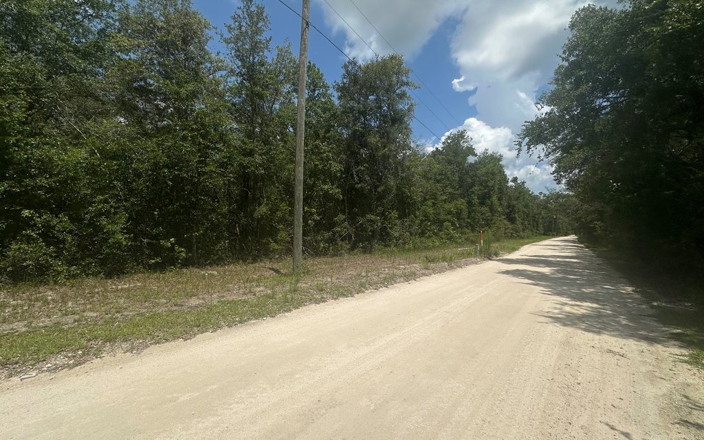 Picture 9