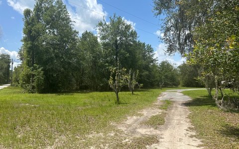 Vacant Land, Wellborn, FL
