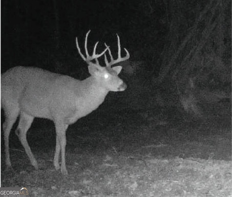 Picture 22