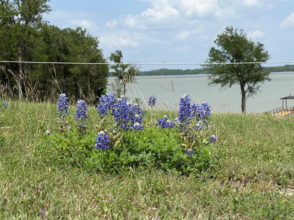 Picture 23