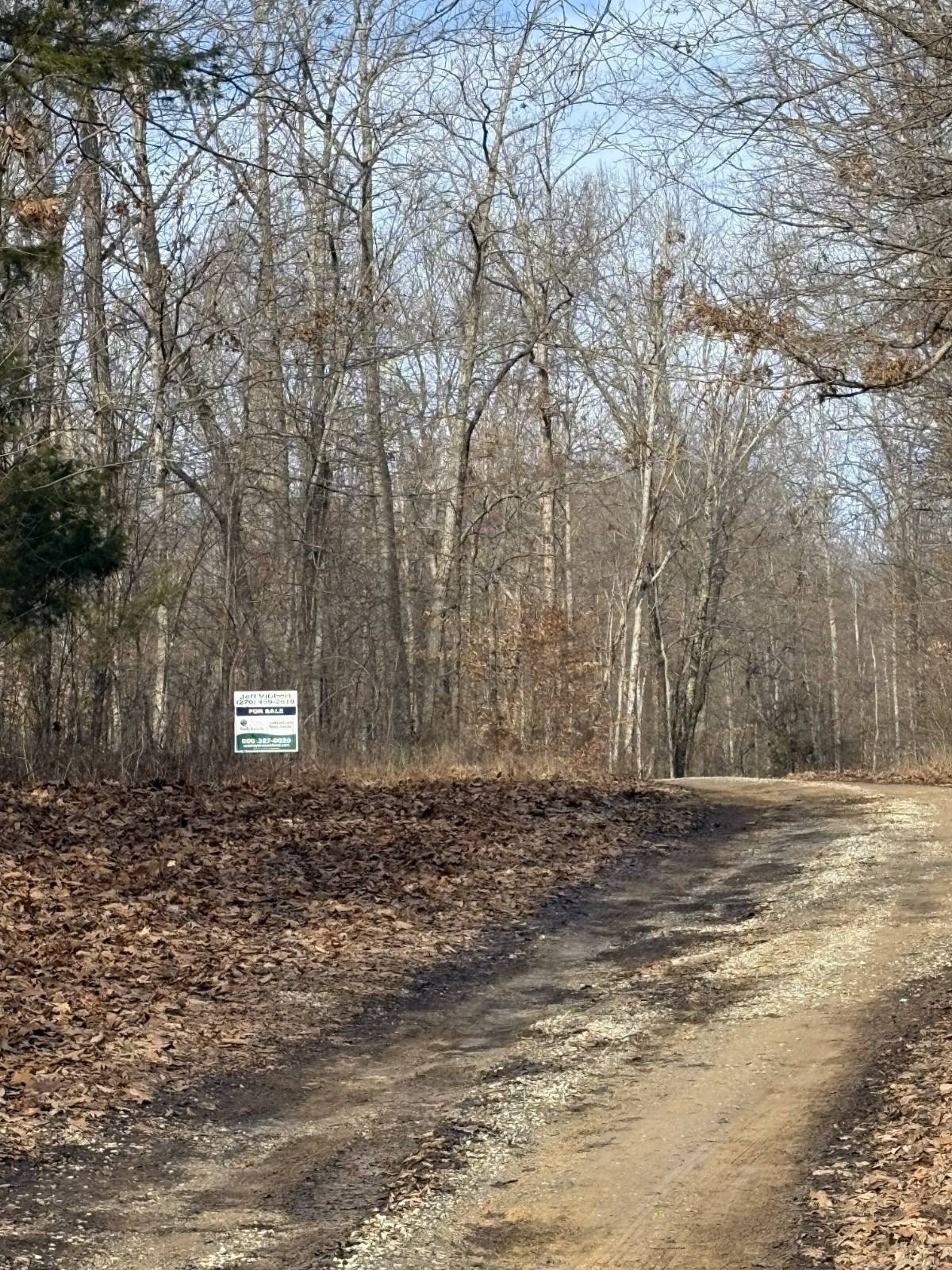 Land for Hunting and Building
