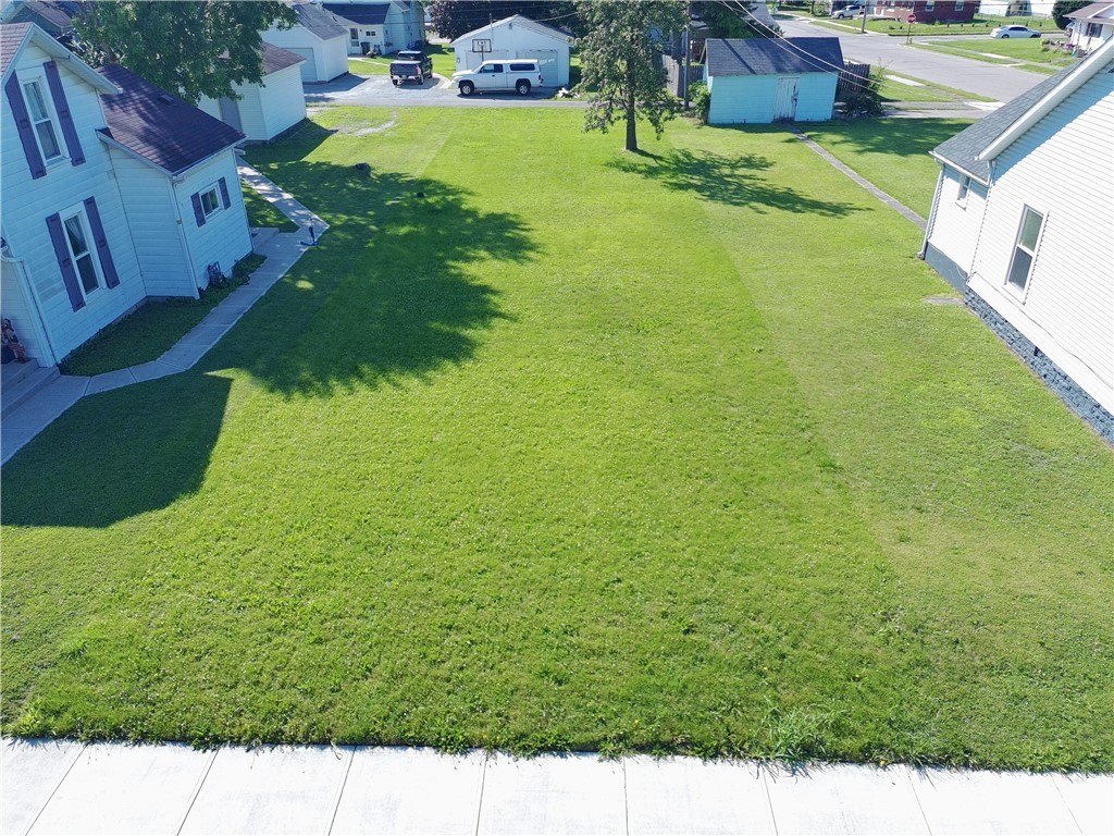 Picture 2