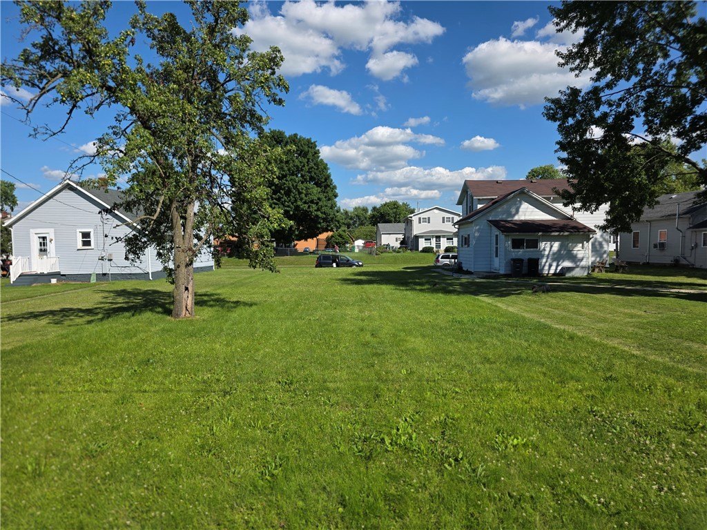 Picture 6