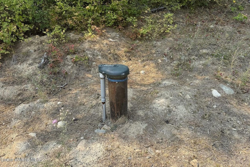 Picture 23