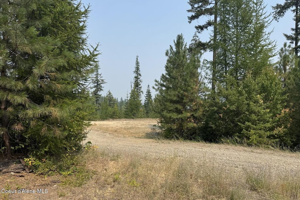 Picture 15