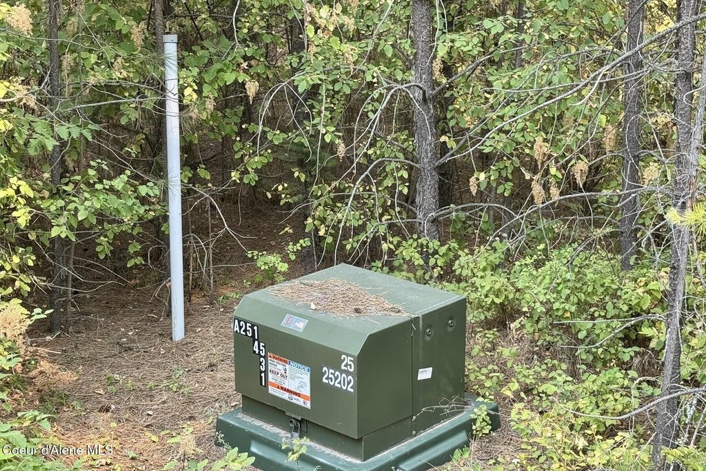 Picture 25