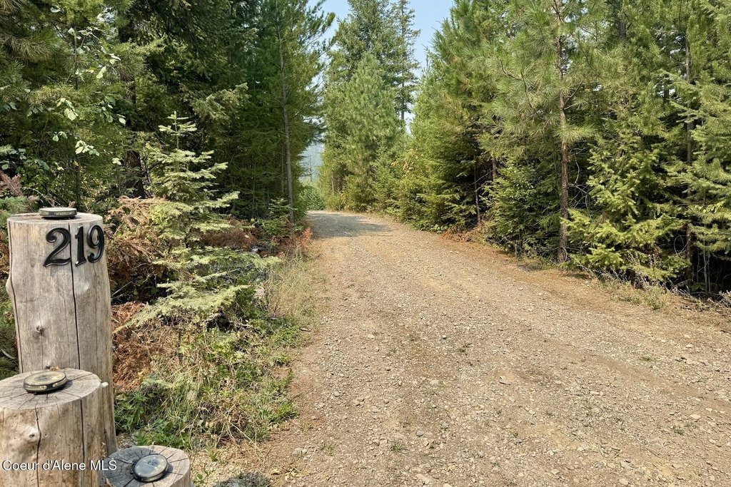 Picture 8