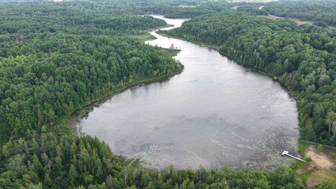 Wooded Waterfront Land Parcel