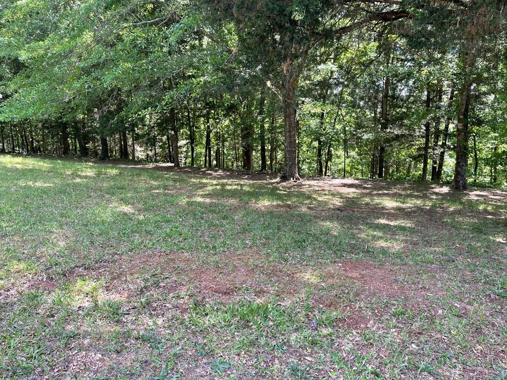 Picture 11