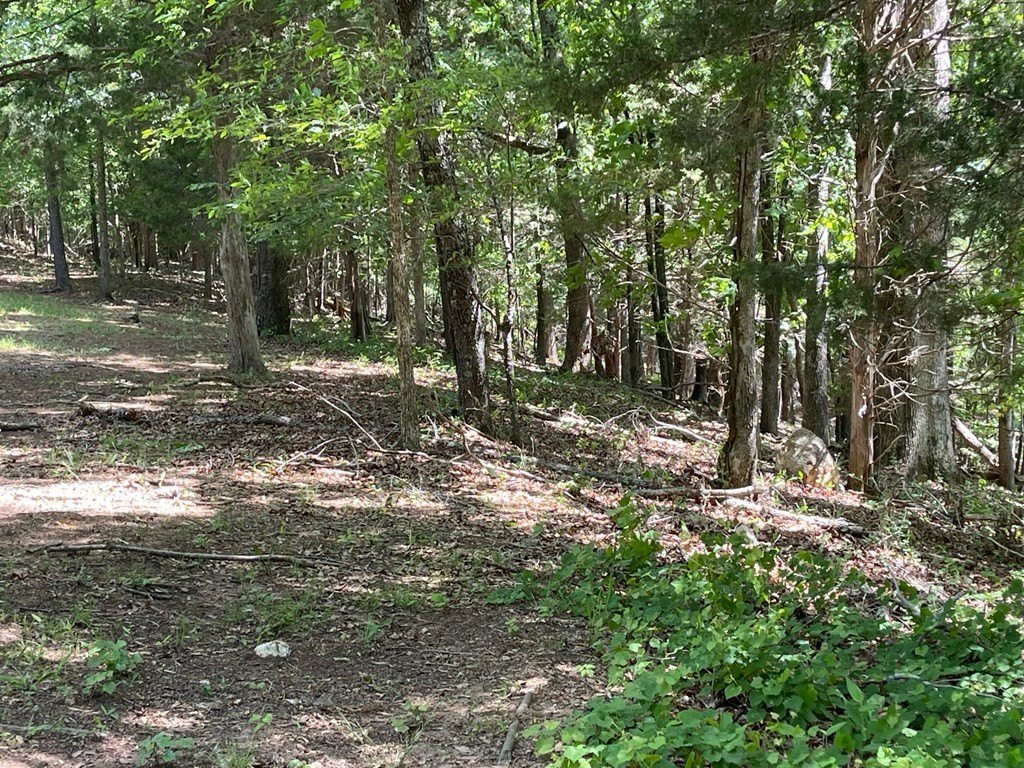 Picture 10