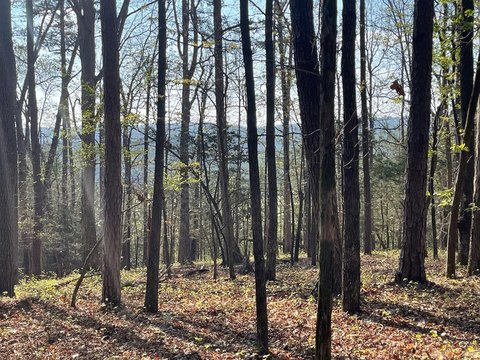 LAND - Cave Spring, GA