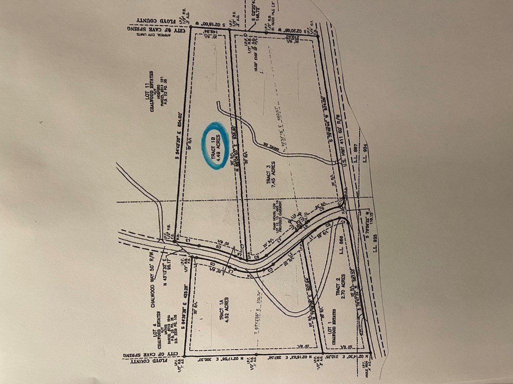 Picture 12