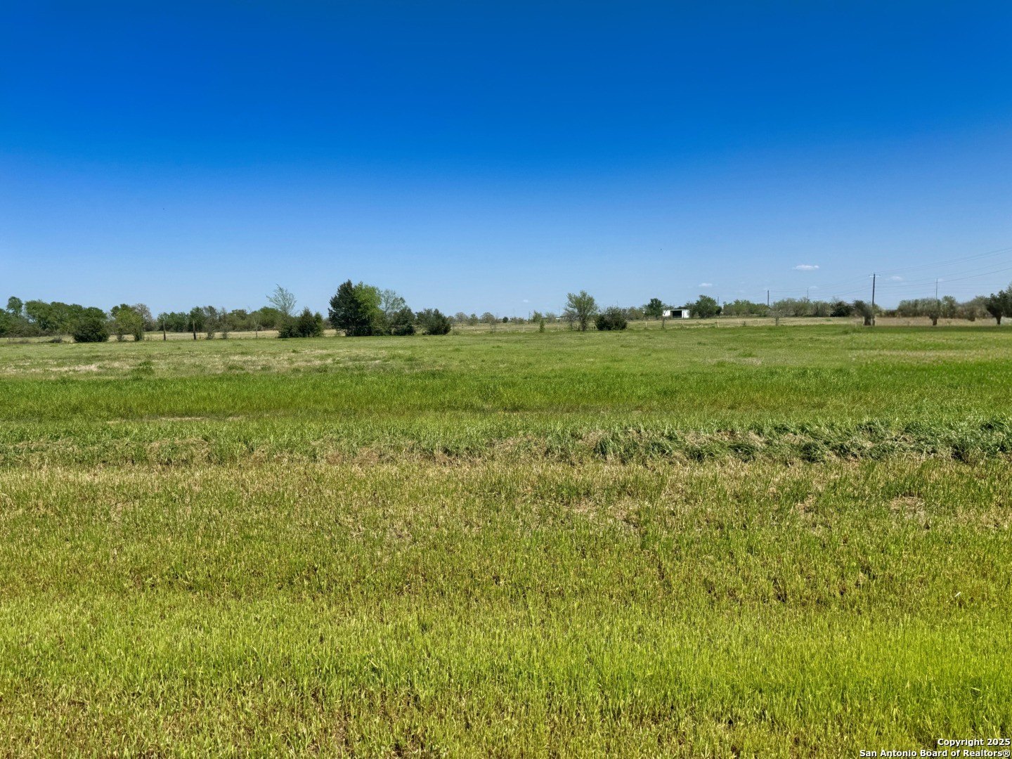 Land in Iola, Texas