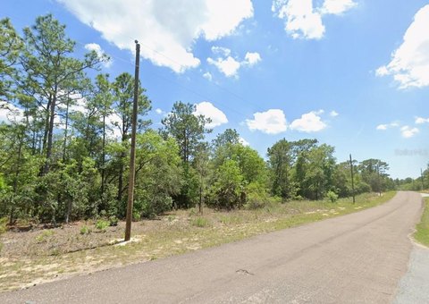 Land, CITRUS SPRINGS, FL