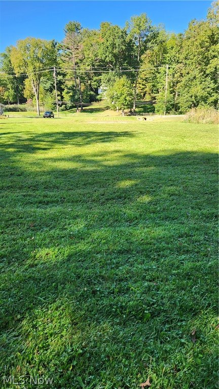 Picture 12