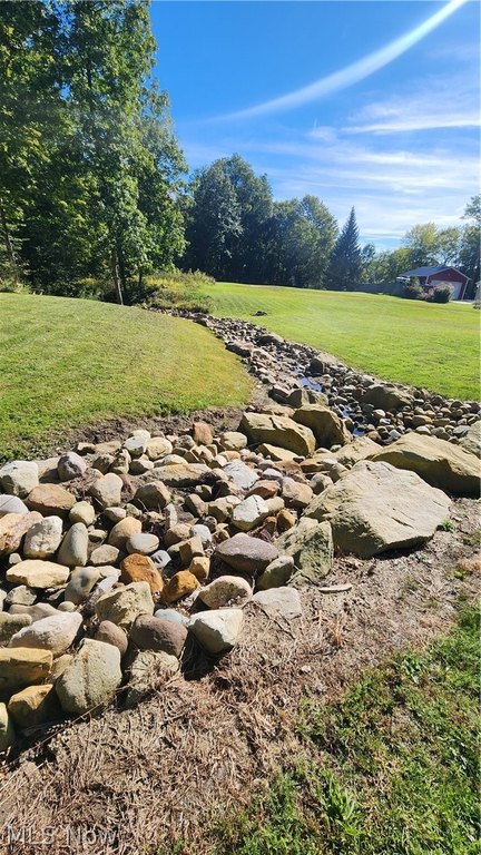 Picture 10