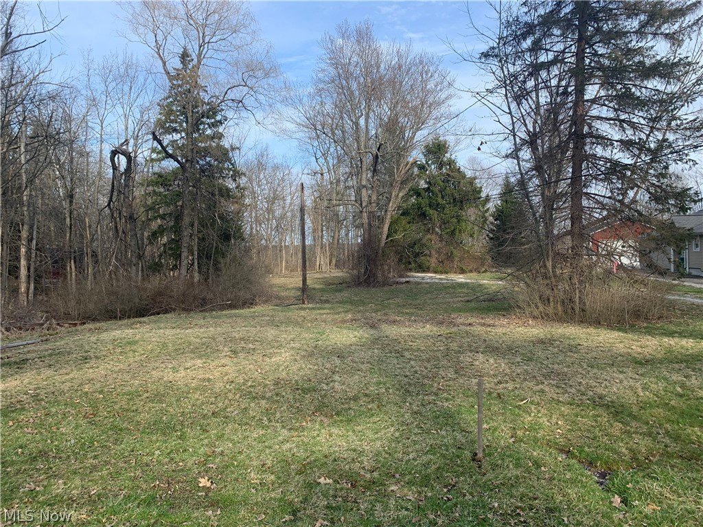 Picture 18