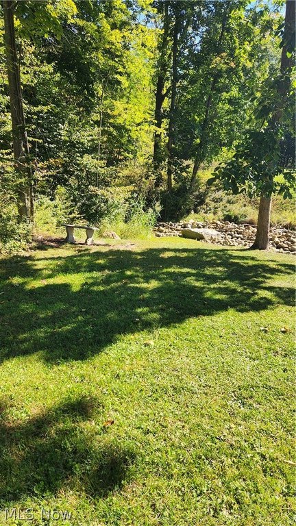 Picture 17