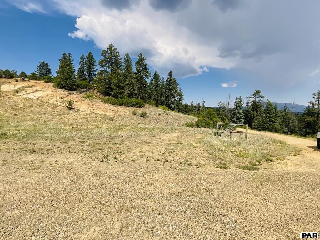Picture 30