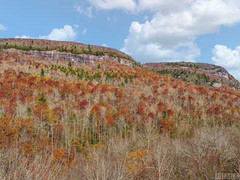 Lake Toxaway Land with River