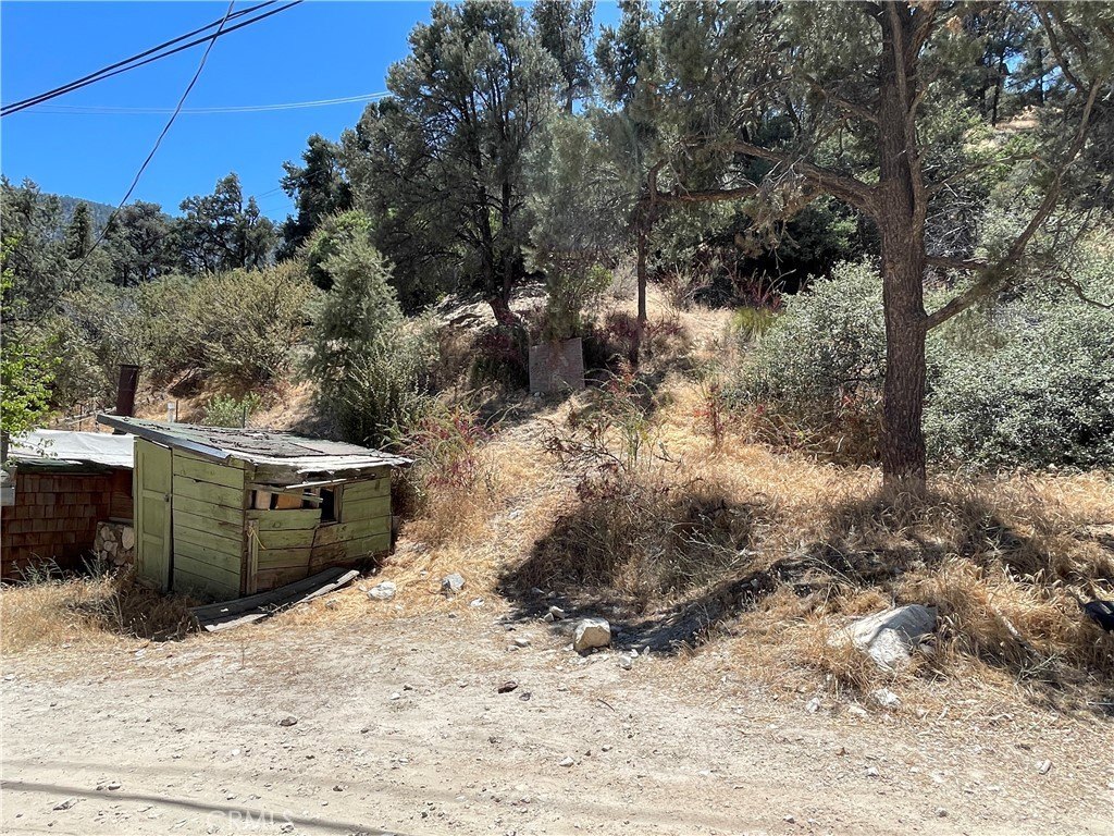 Picture 4