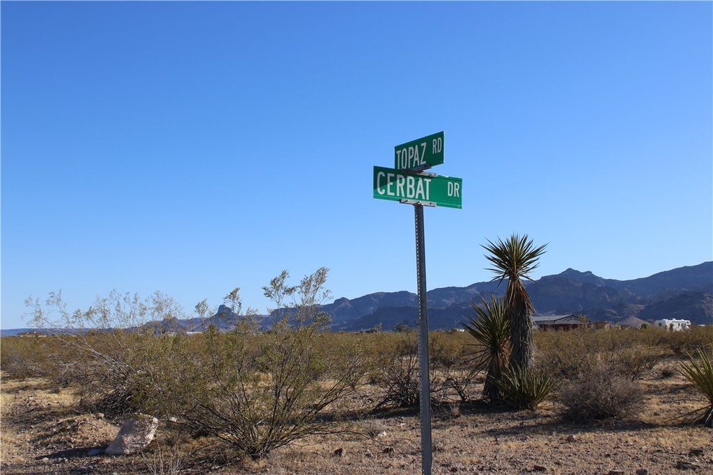 Picture 19