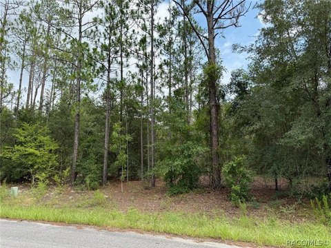 LAND - Citrus Springs, FL