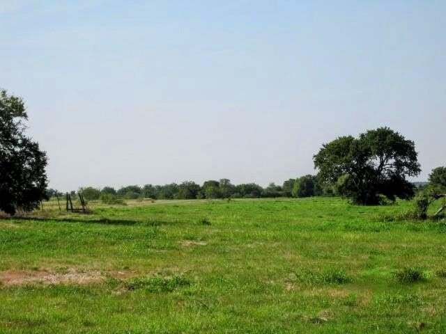 Picture 10