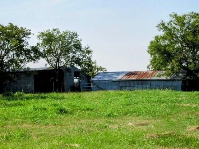 Picture 9