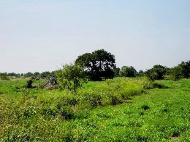 Picture 11