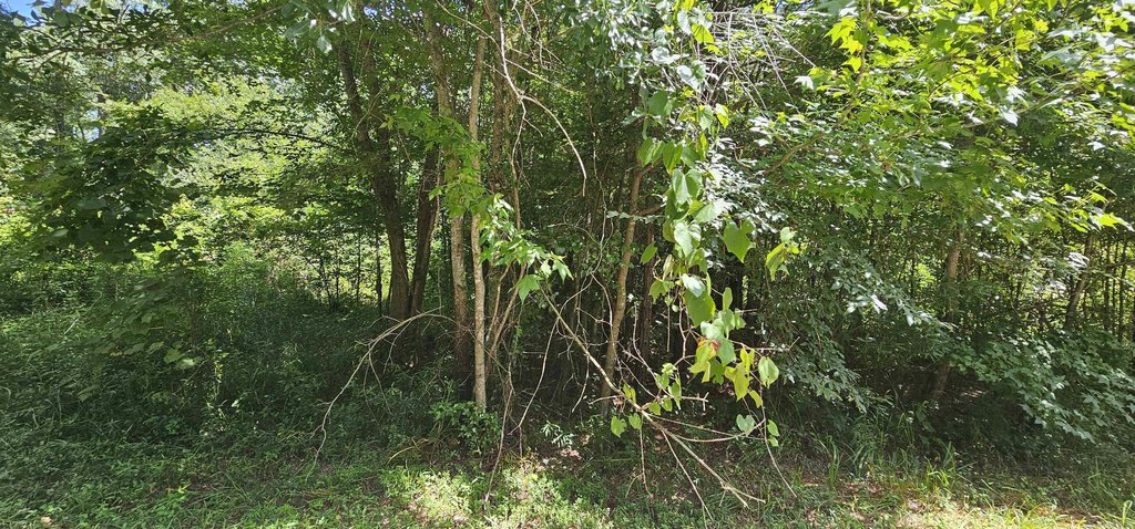 Picture 2