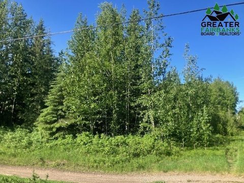 Land with Badger Road Visibility