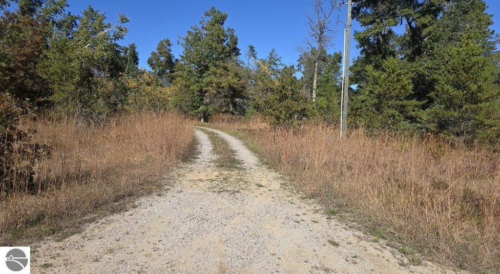 Picture 10