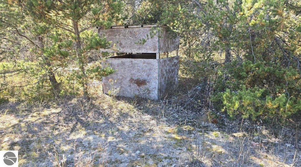 Picture 5