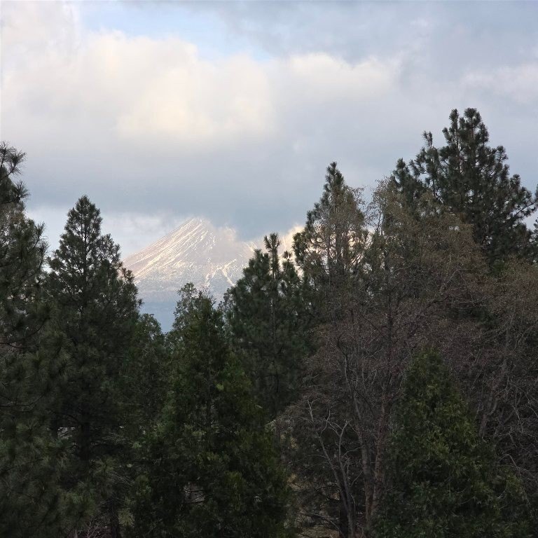 Picture 43