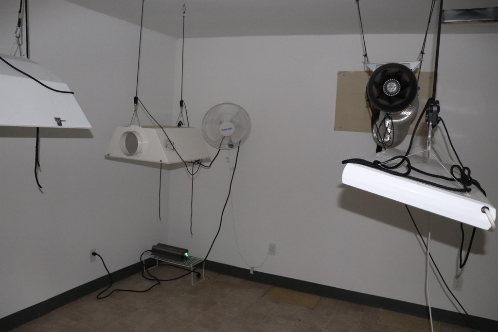 Picture 9