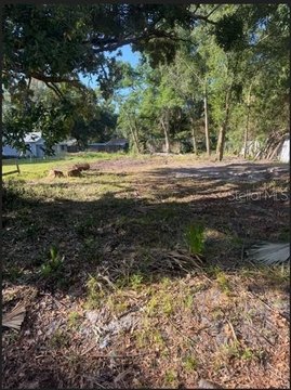 Land - WINTER HAVEN, FL