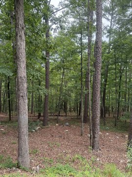 LAND - Hot Springs Village, AR