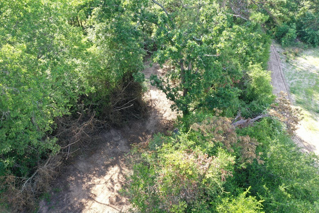 Picture 4