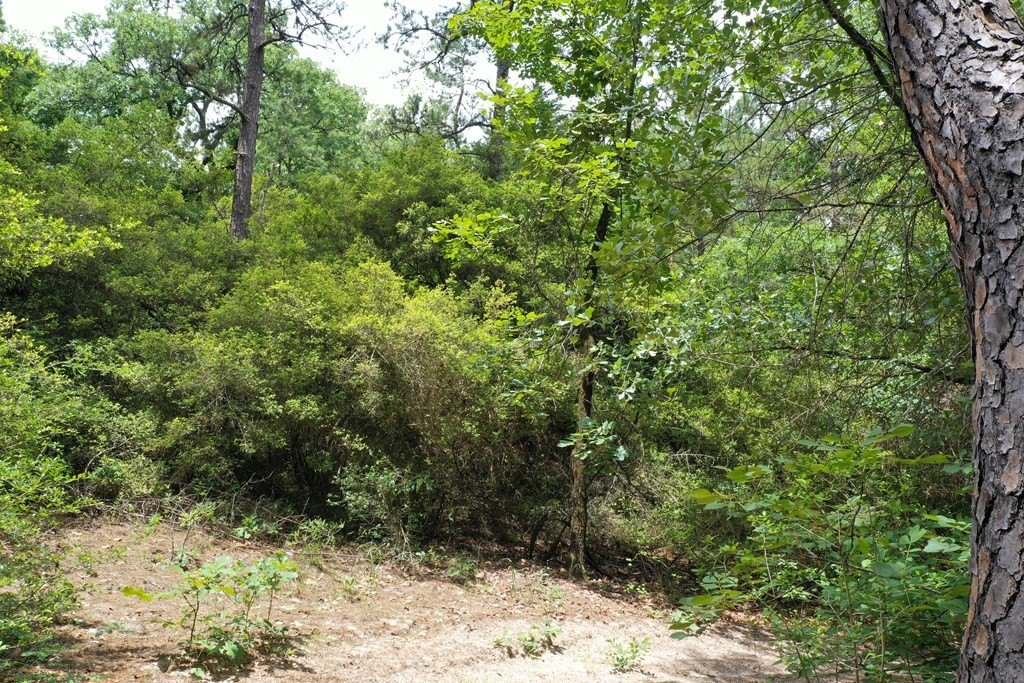 Picture 3