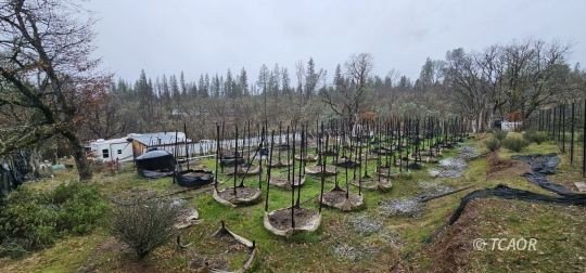 Hayfork Land with Well