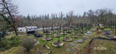 Hayfork Land with Well