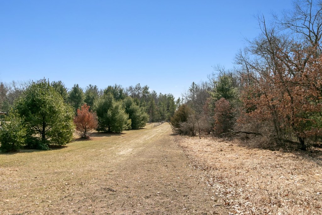 Picture 7