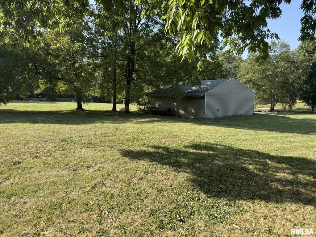 Picture 2