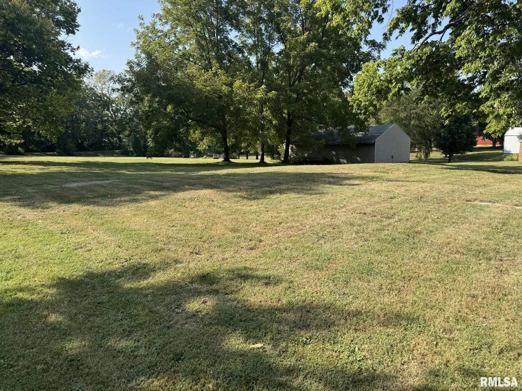 Picture 6
