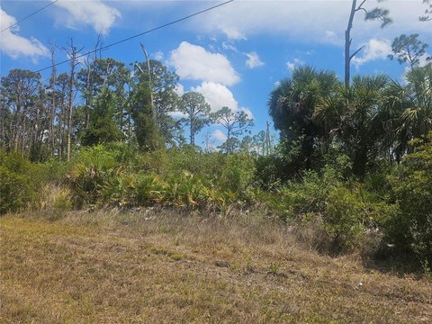 Port Charlotte Homesite Opportunity