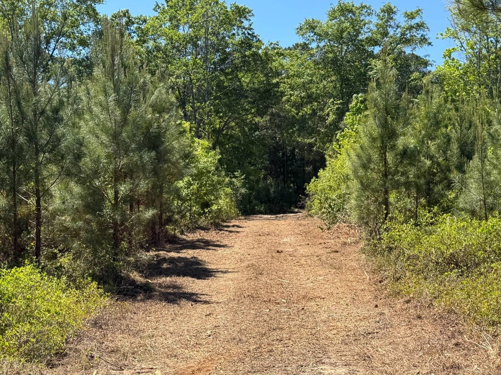 Picture 19