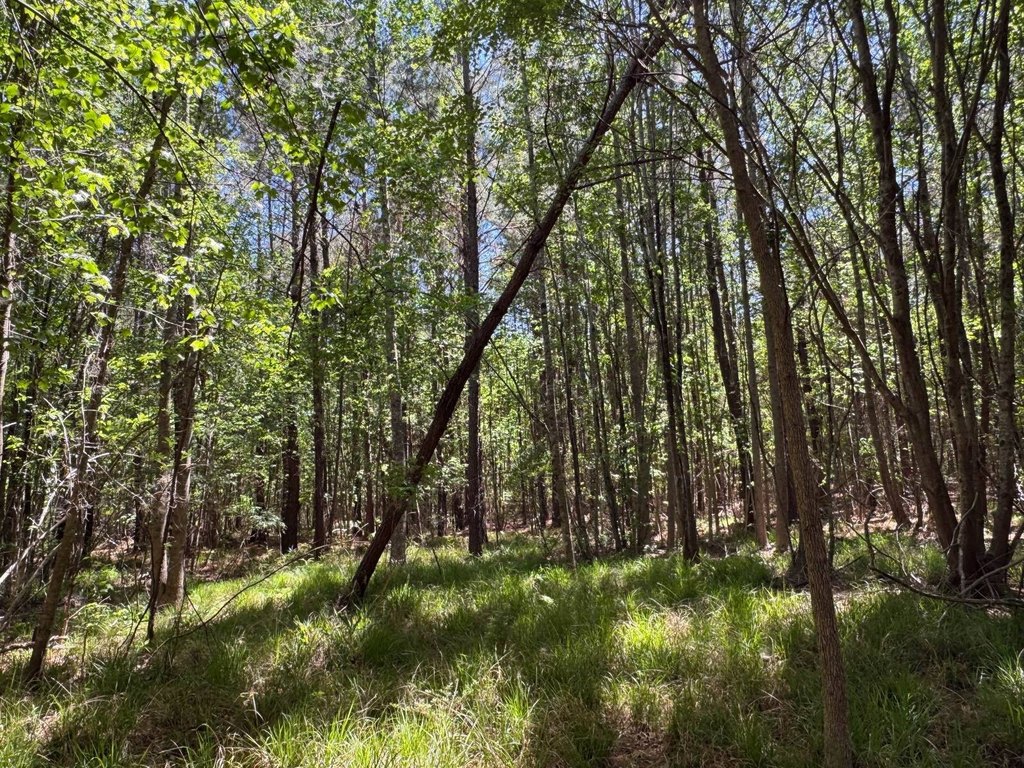 Picture 30