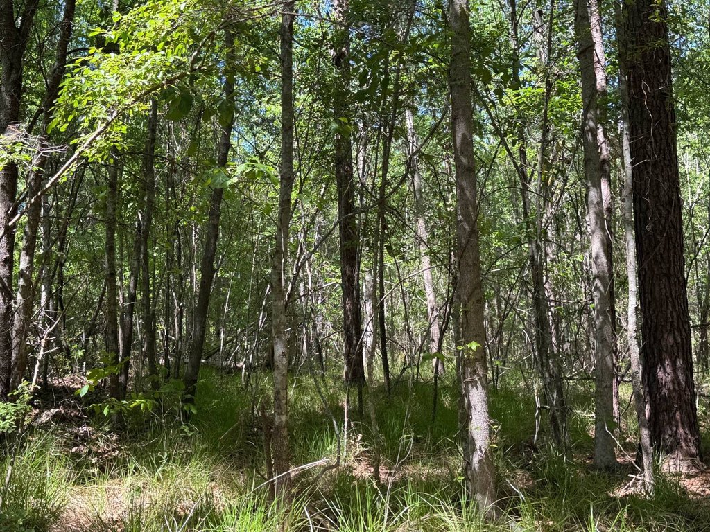 Picture 18